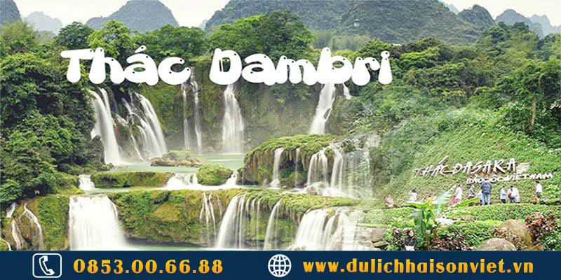 tour-bao-loc-thac-dambri-2-ngay-1-dem-2