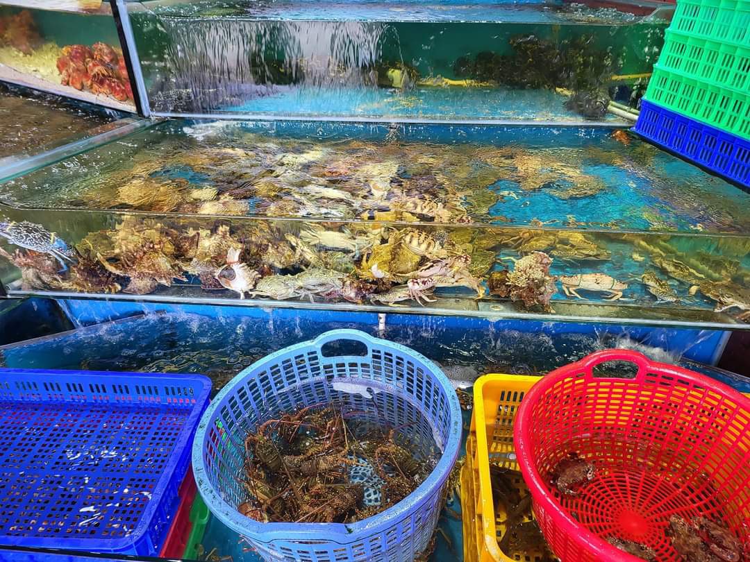 quan-hai-san-bo-ke-86