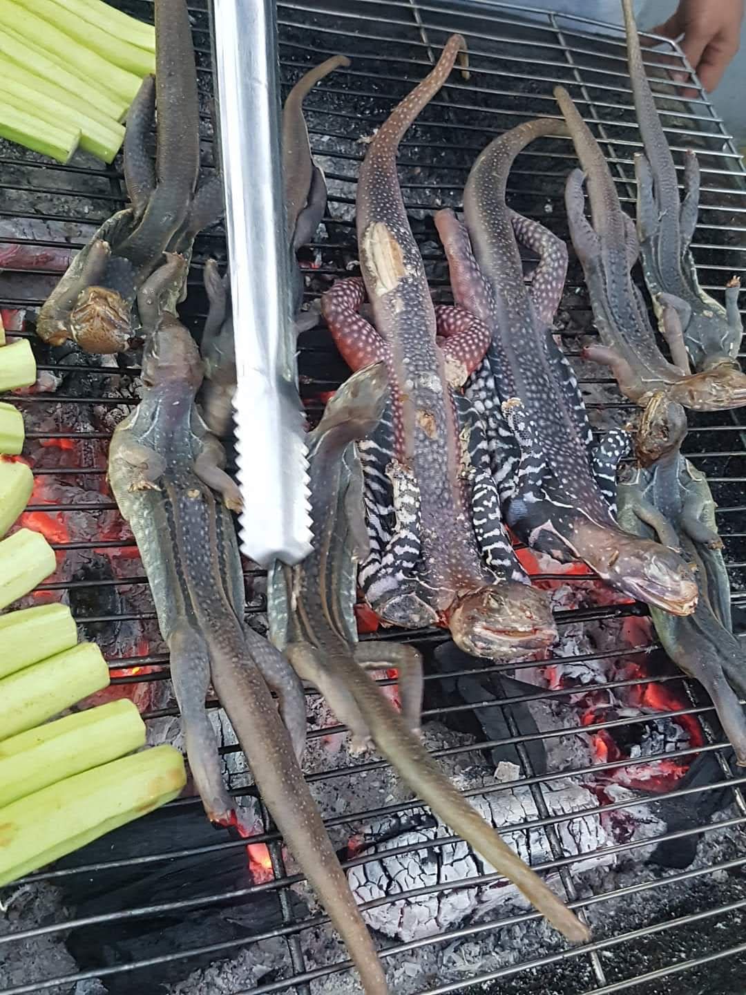 quan-hai-san-bo-ke-86