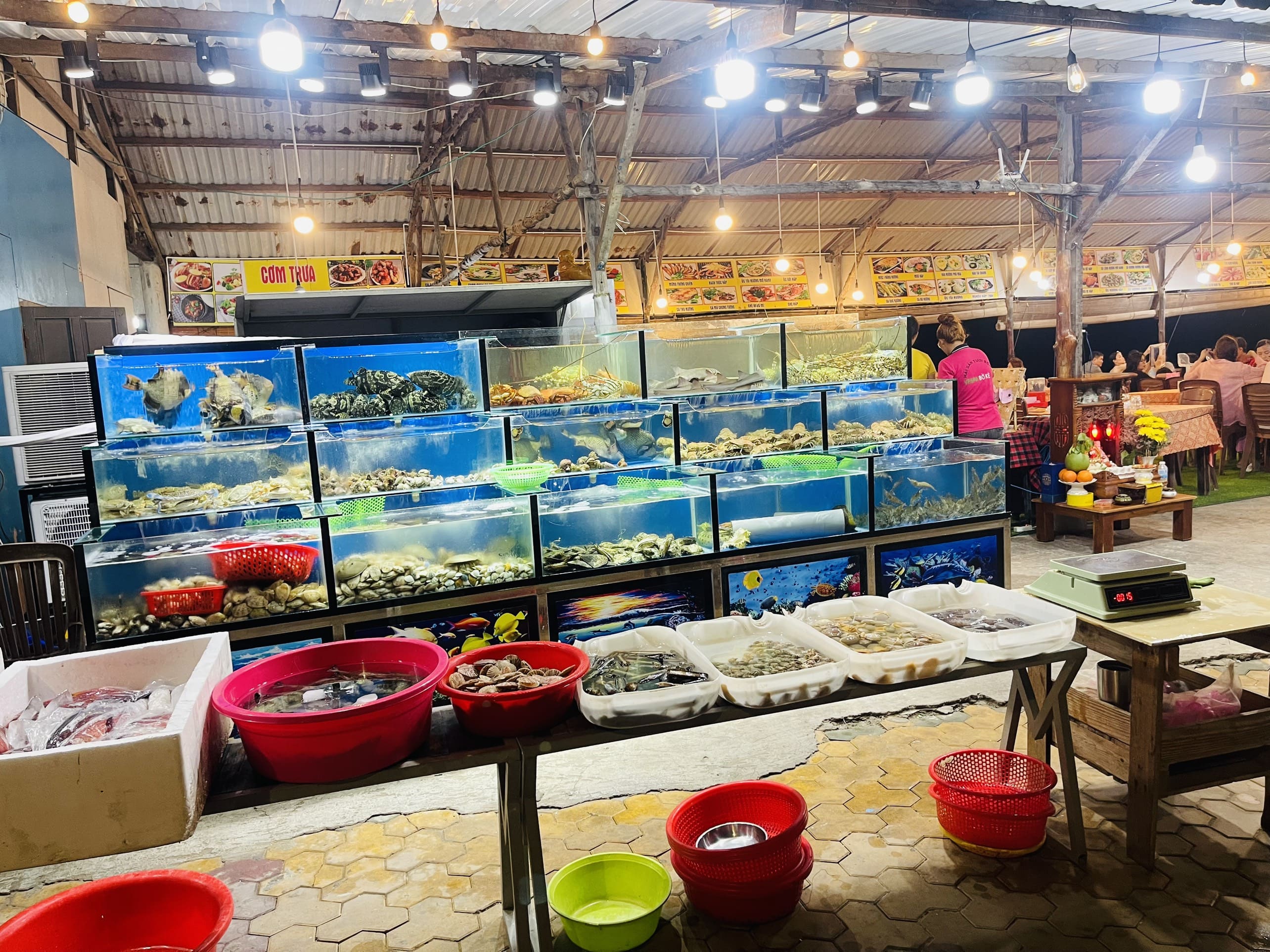 HAI-SAN-VESPA-BO-KE-165