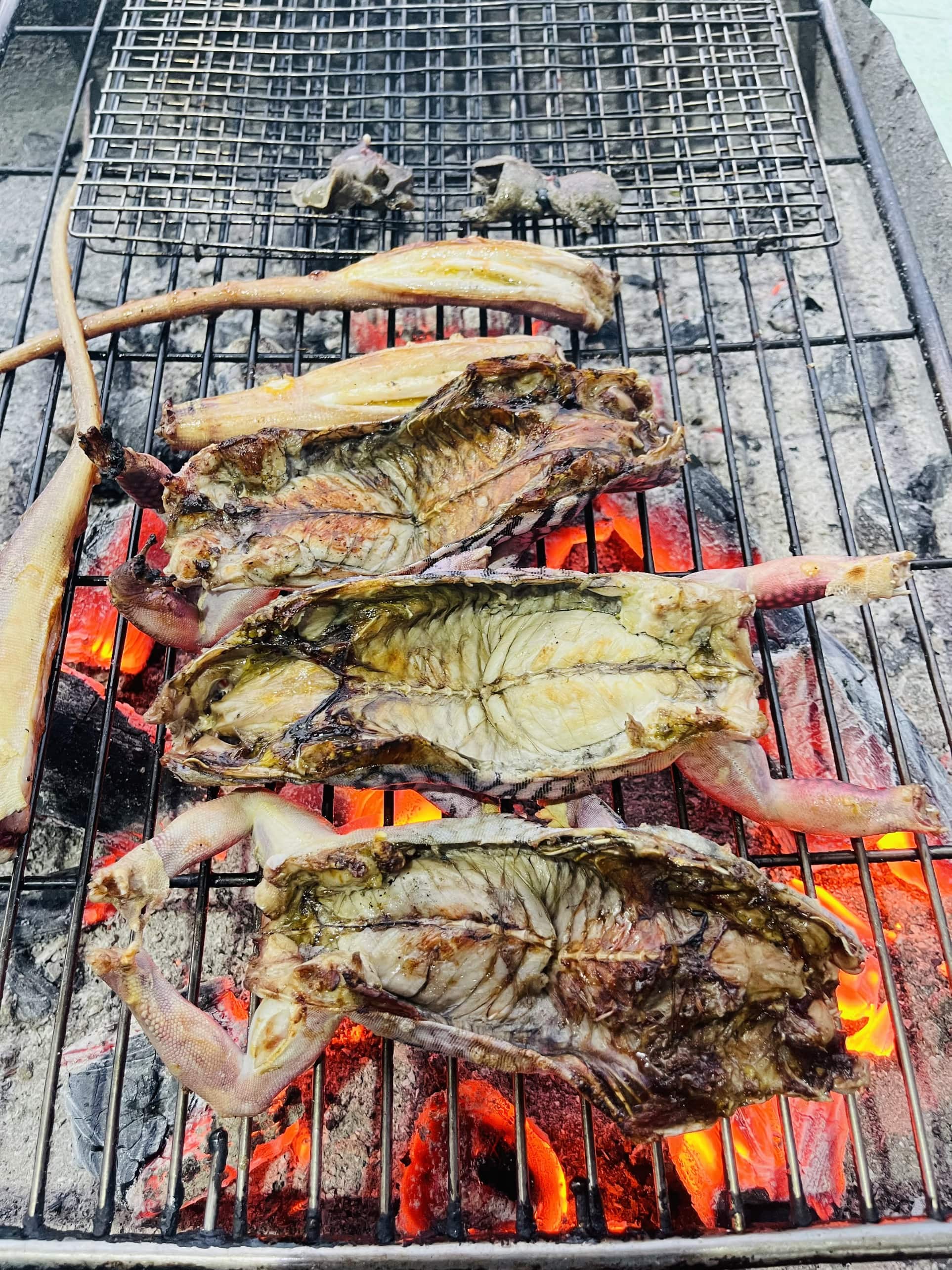 GIONG-CAT-PHAN-THIET