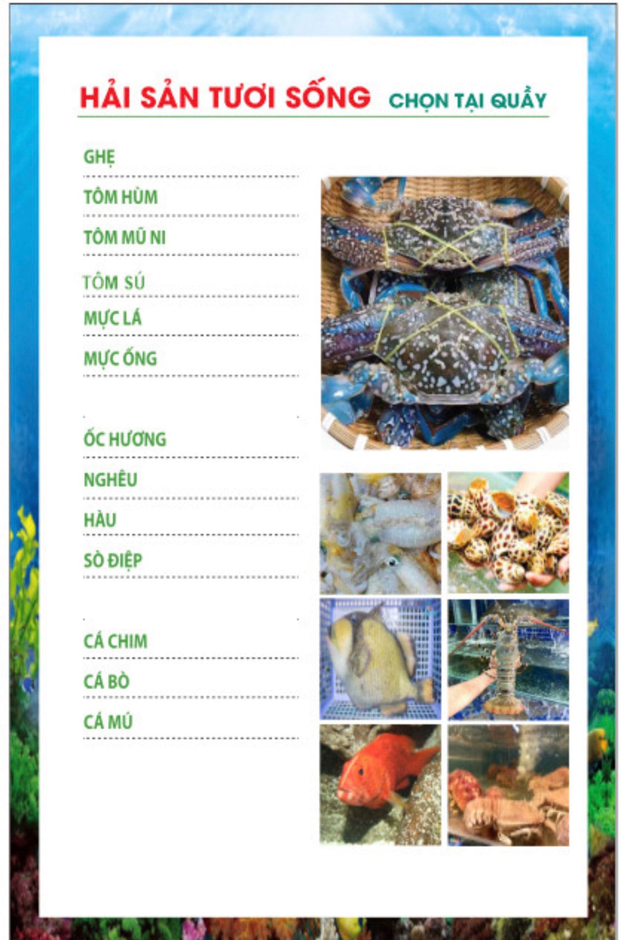 THUC-DON-QUAN-HAI-SAN-VESPA